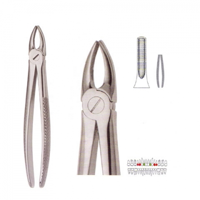 Extracting Forceps